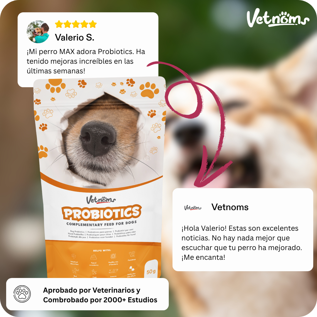 Equilibrio Digestivo Natural – Vetnoms Probióticos