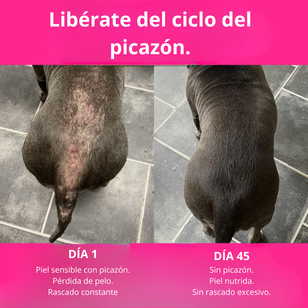 Nutri® 120 golosinas para la picazón y el sistema inmunitario