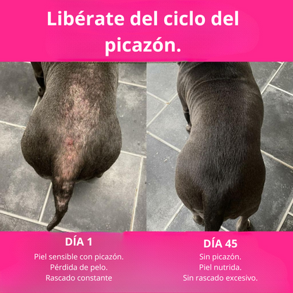 Nutri® 120 golosinas para la picazón y el sistema inmunitario