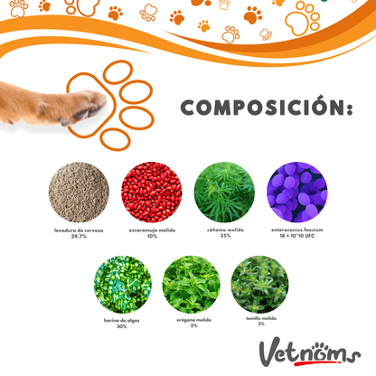 Equilibrio Digestivo Natural – Vetnoms Probióticos