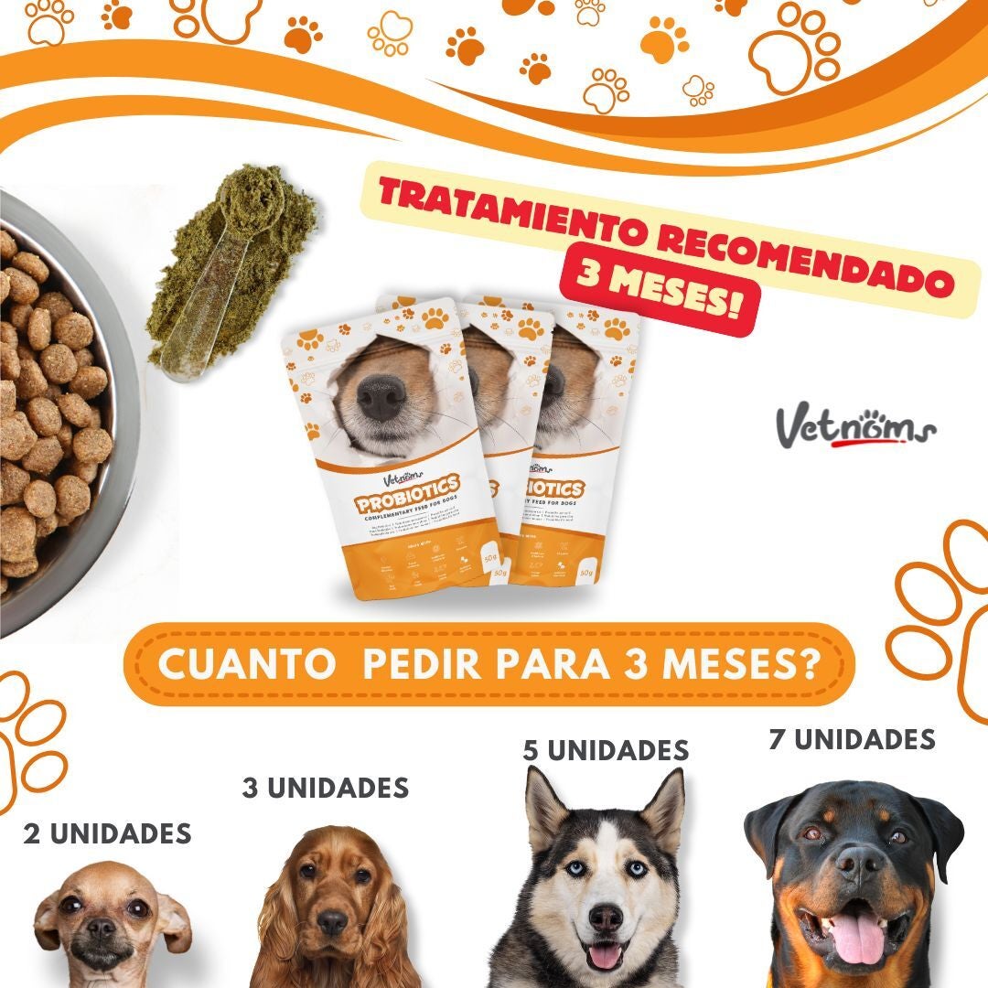 Equilibrio Digestivo Natural – Vetnoms Probióticos