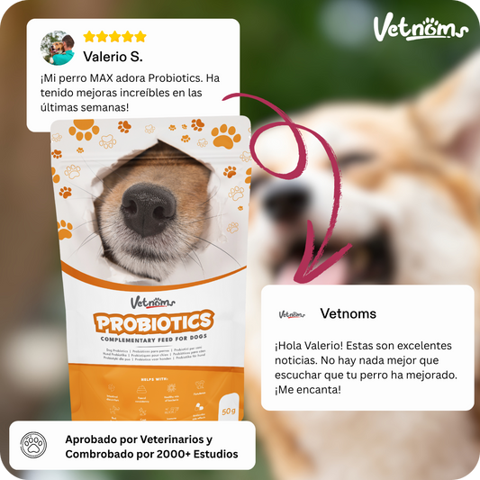 Equilibrio Digestivo Natural – Vetnoms Probióticos