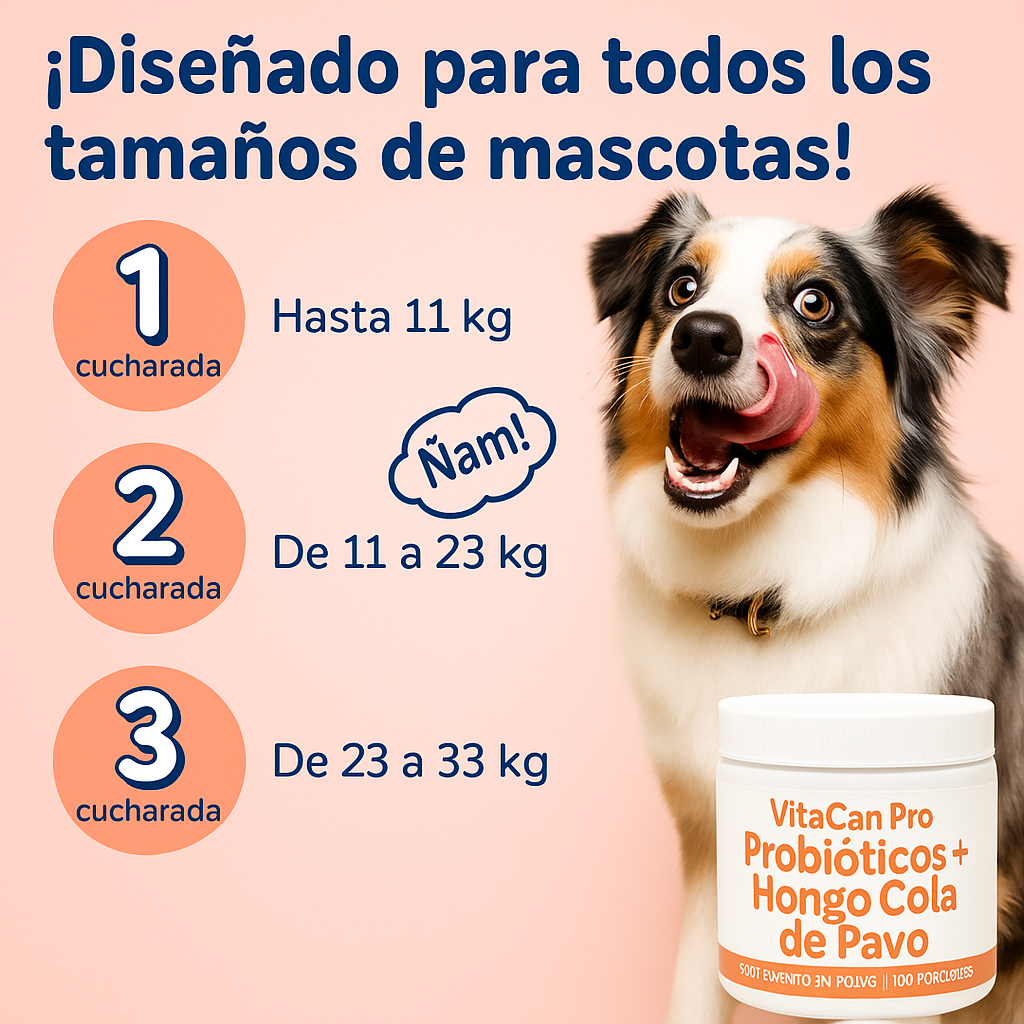 VitaCan Pro® Probióticos Hongo Cola de Pavo