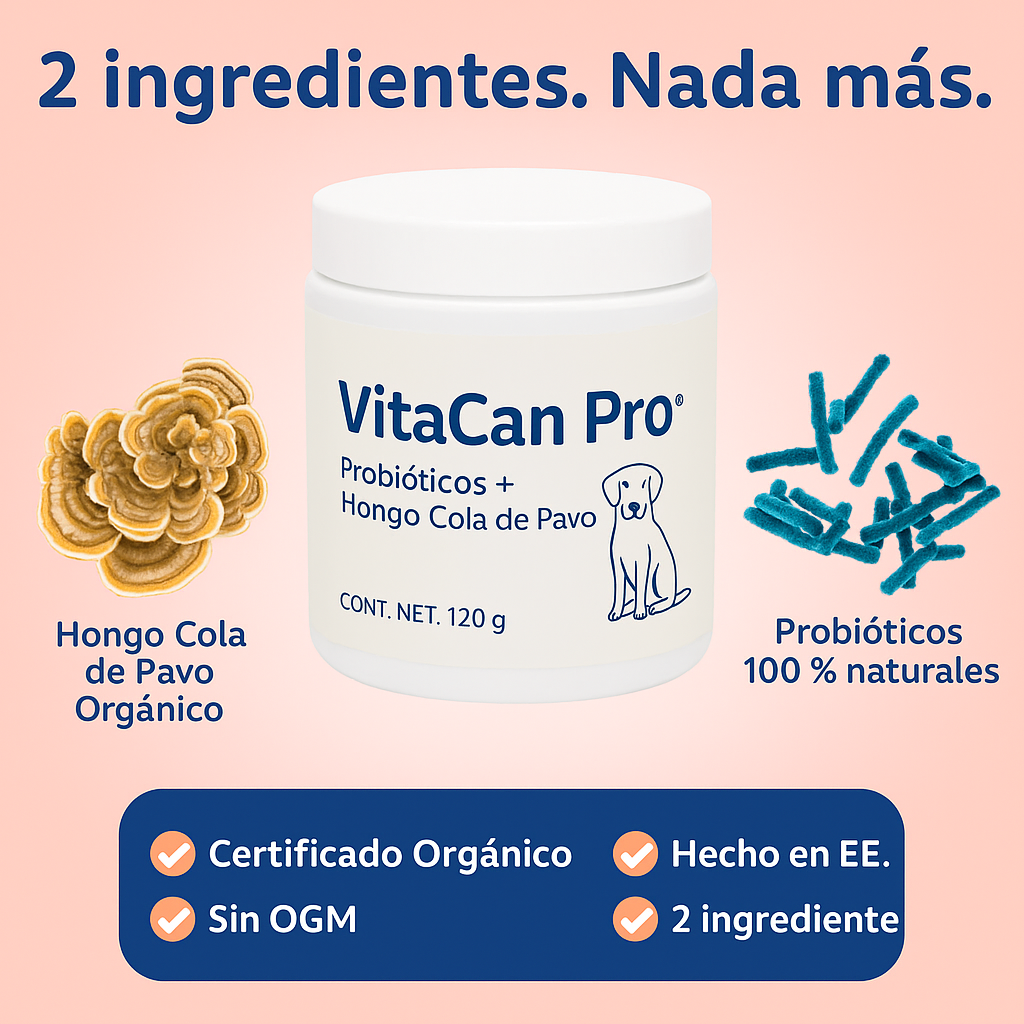 VitaCan Pro® Probióticos Hongo Cola de Pavo