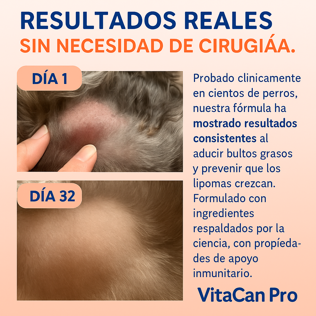 VitaCan Pro® Probióticos Hongo Cola de Pavo