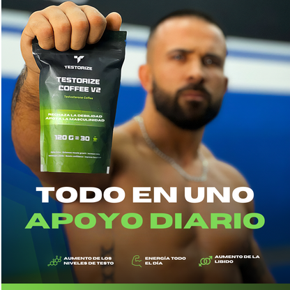 TESTORIZZE CAFÉ V2
