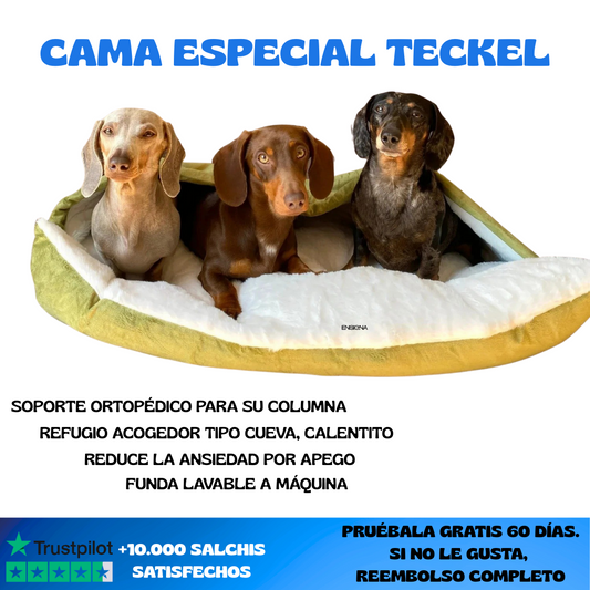 Cama Teckel | Cuida su espalda, temperatura y ansiedad